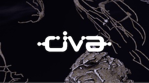 civa16.41.29